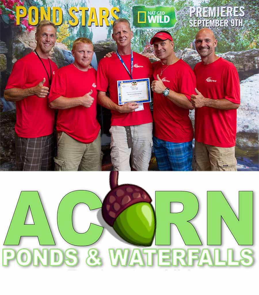 Local Pond Cleaning Contractor Of Rochester New York - Acorn Ponds & Waterfalls - 585-442-6373