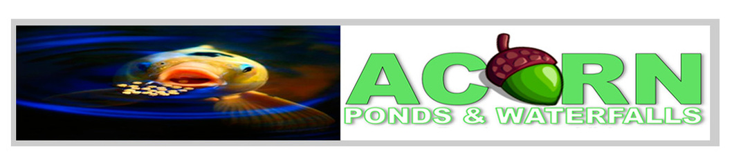 Best Rated Pond Cleaning & Maintenance Contractors Of Rochester New York (NY) - Acorn Ponds