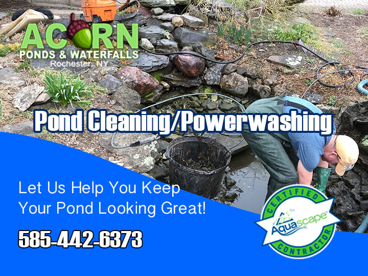 Koi Fish Pond Cleaning-Maintenance Services Rochester-Western New York-NY